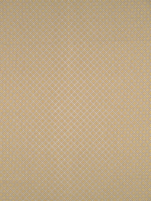 Colony Belgravia Trellis Coloniale Fabric Sample CL265210001