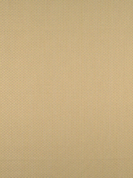 Colony Domino Ecru Fabric Sample CL265810001