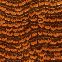 Colony La Mordoree Coordinato Bois Fabric CL268730001