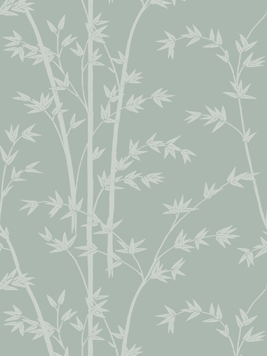 Colony Bamboo | Wallpaper Sample Nebbia Wallpaper Sample CLWP267310003