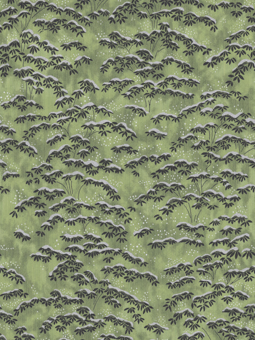 Colony Sagano | Grasscloth Verde Wallpaper Sample CLWP363970005