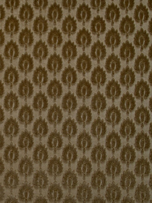 Colony Canova Semis Oro Fabric Sample CL364240006