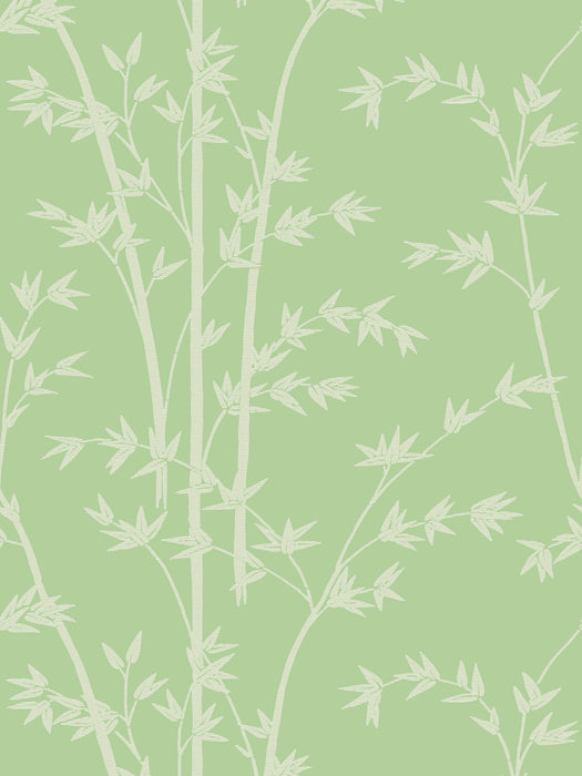 Colony Bamboo | Wallpaper Sample Mela Wallpaper Sample CLWP267310007
