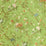 Colony Melograno Verde Fabric CL264640009