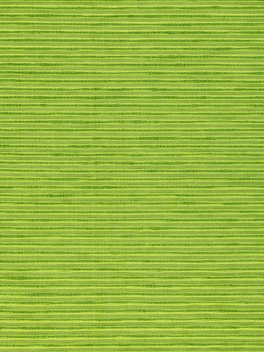 Colony Luna Lime Fabric Sample CL364630014