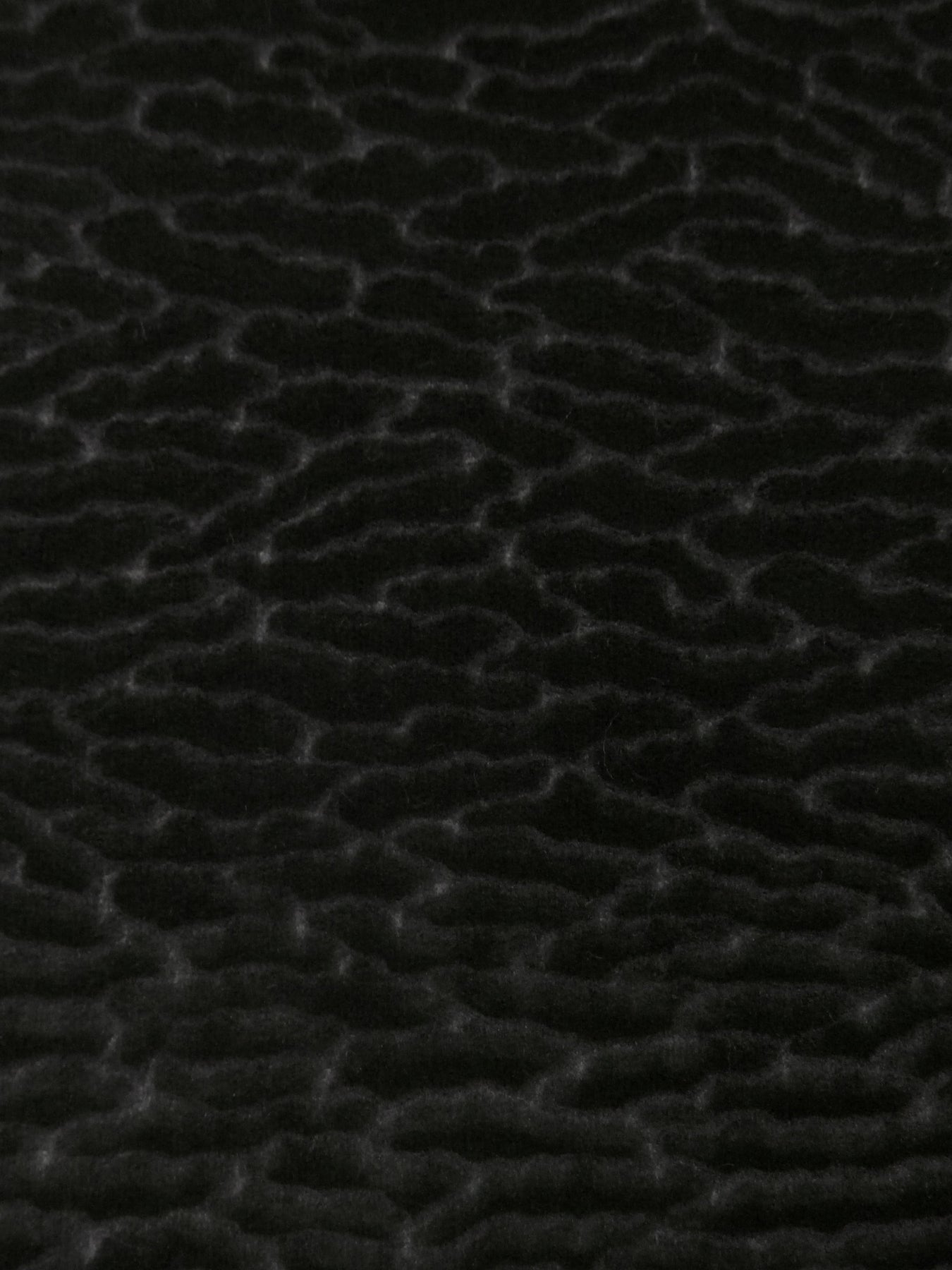 Colony Fabric