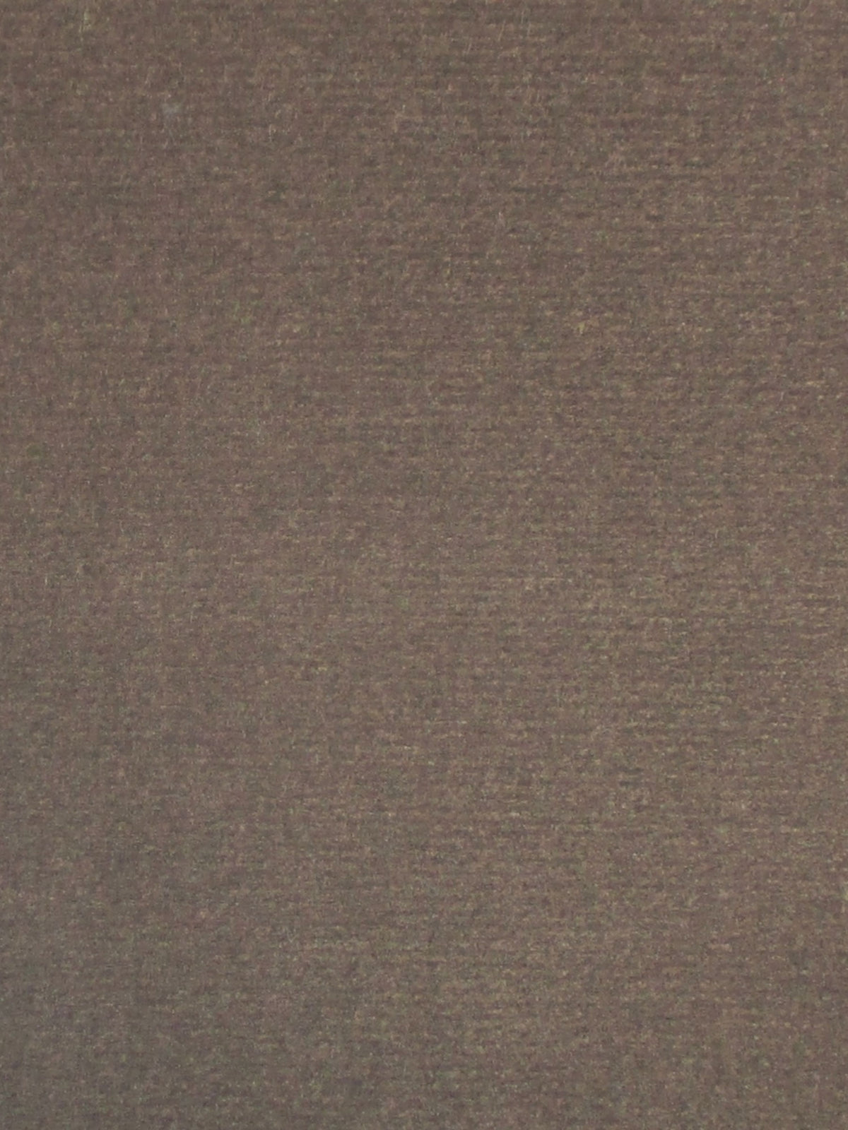 Colony Argo Elefante CL364320026 Fabric | 40% Off (Samples)