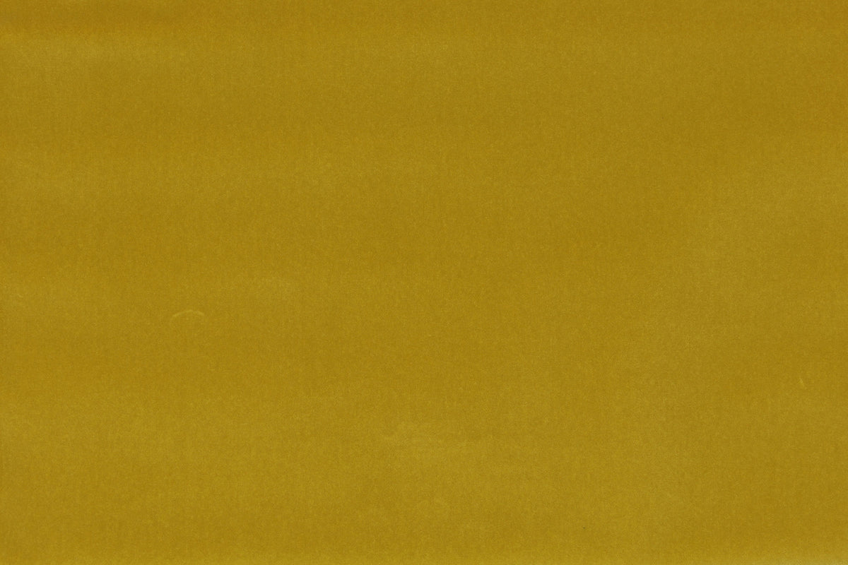 Colony Argo Senape CL364320044 Sample | 40% Off (Samples)