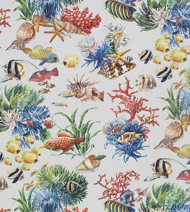 Grey Watkins Aquatica Oyster Fabric Sample CNAK070003