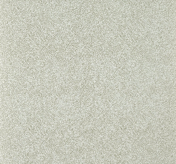 Pierre Frey Craquelin Grege Wallpaper Sample FP071002