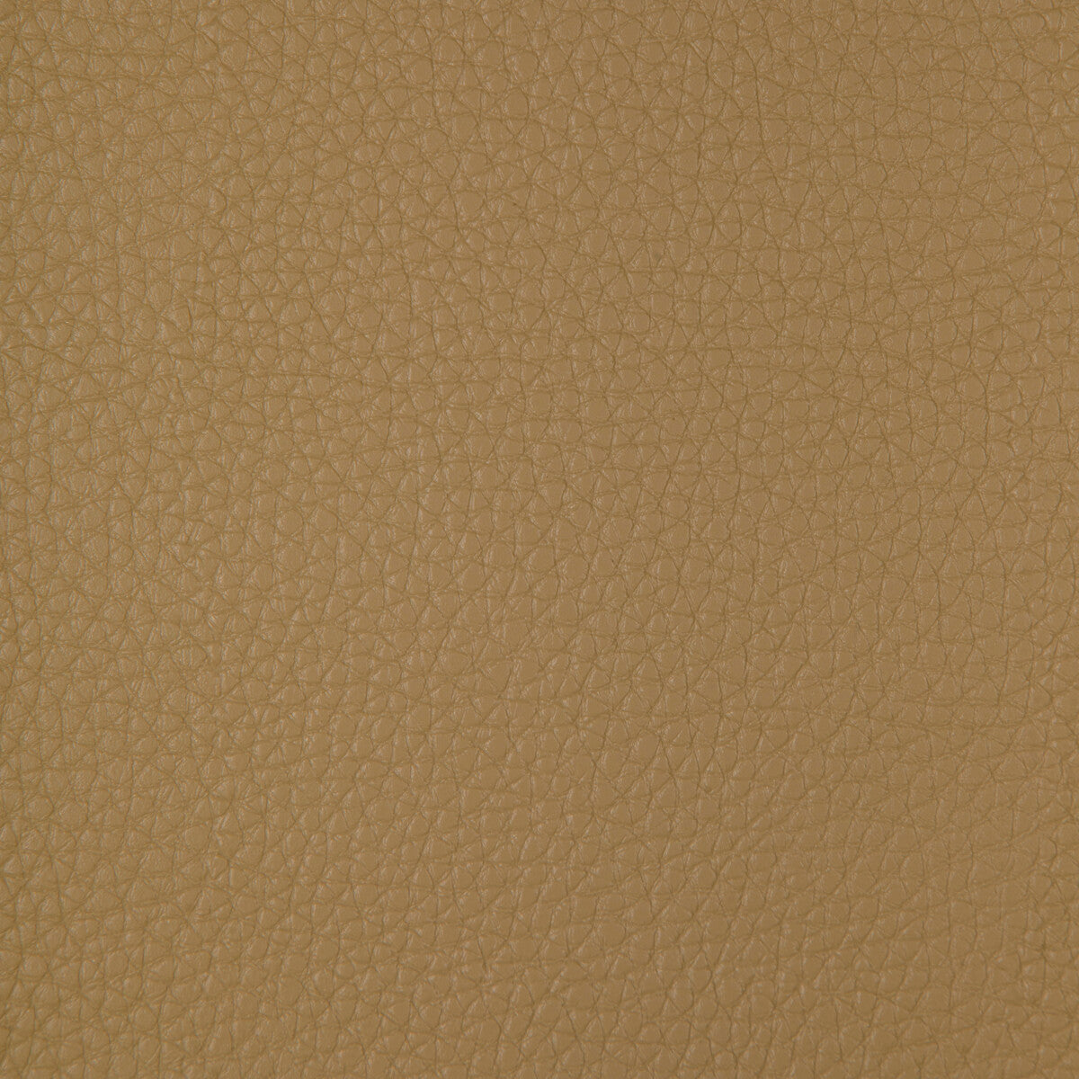 Kravet Design CONNECT.106.0 Fabric Sample