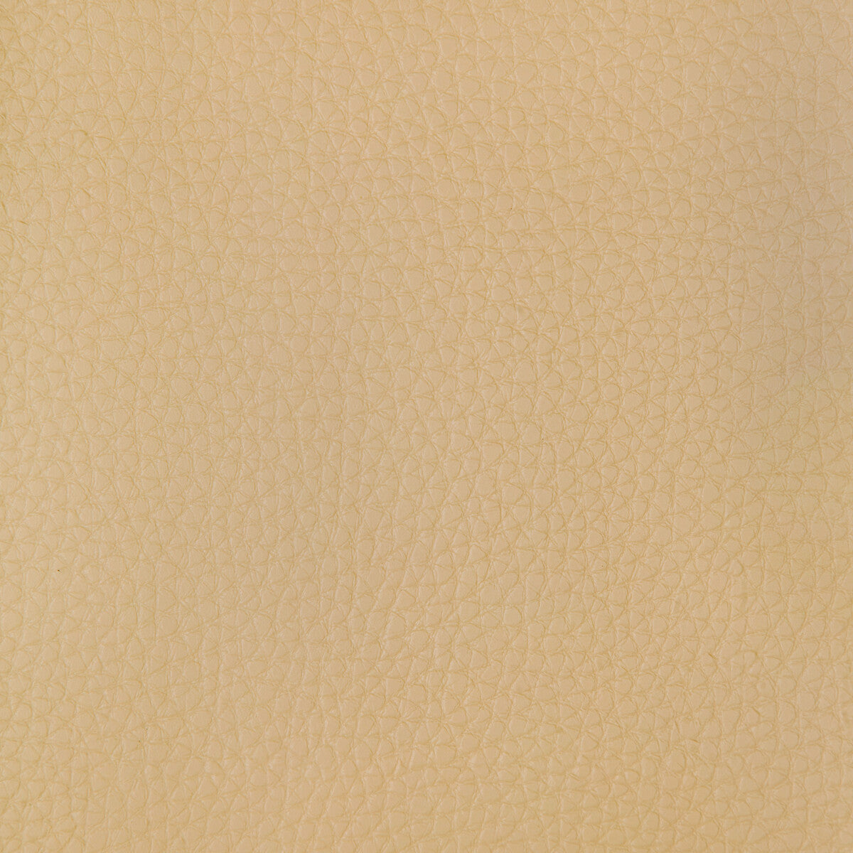 Kravet Design CONNECT.16.0 Fabric Sample