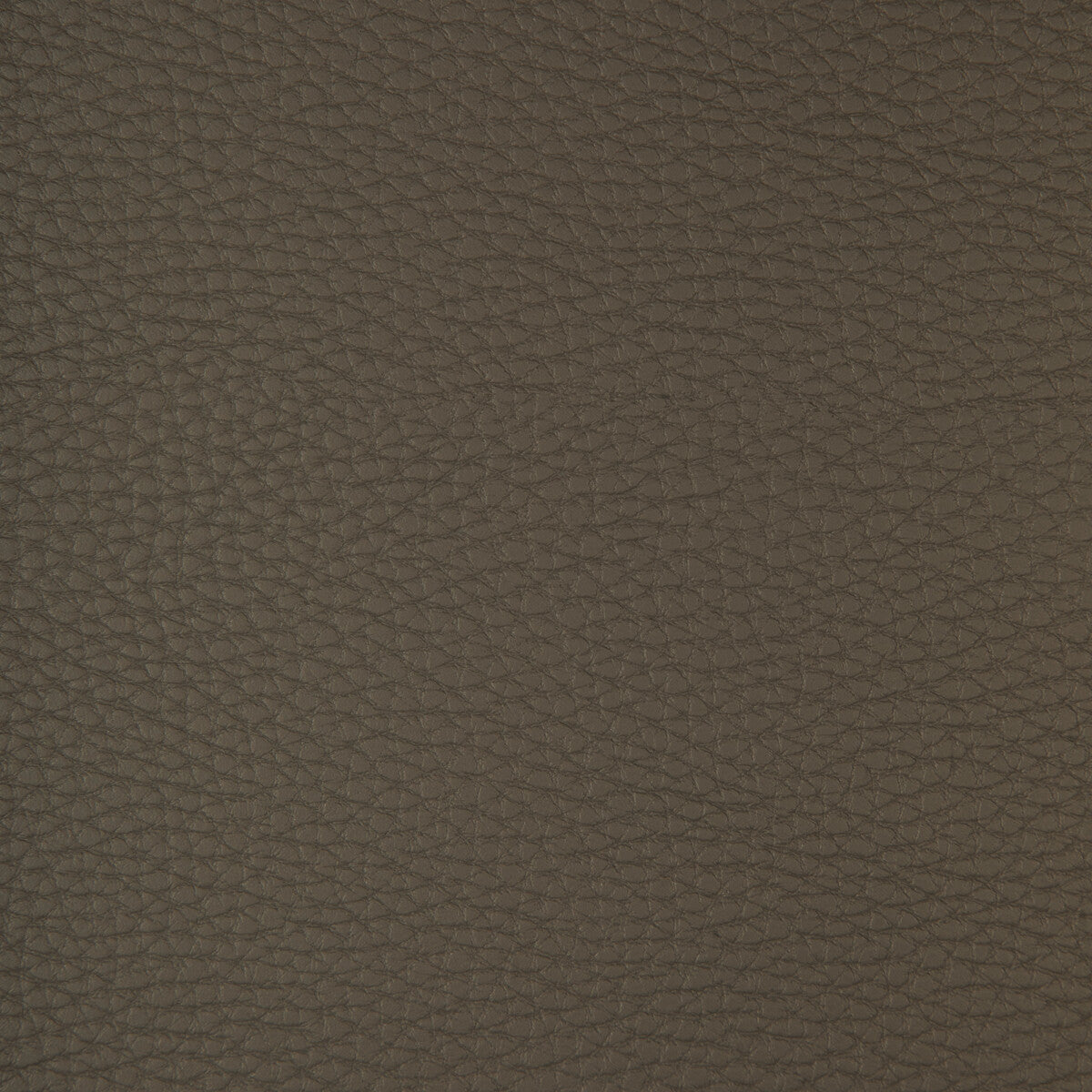 Kravet Design CONNECT.21.0 Fabric Sample