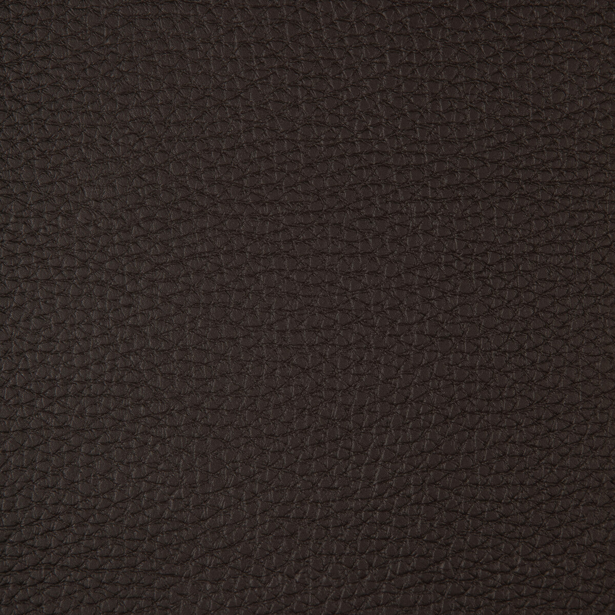 Kravet Design CONNECT.66.0 Fabric Sample