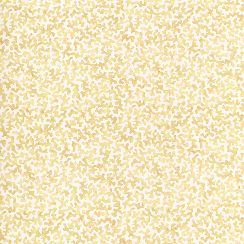 Kravet Basics Coralcoast Cornsilk Fabric Sample CORALCOAST.14.0