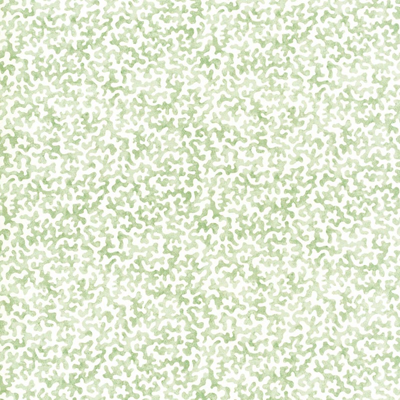 Kravet Basics Coralcoast Sage Fabric Sample CORALCOAST.30.0