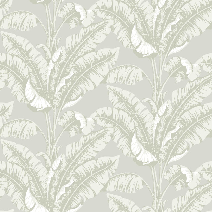 Nobilis La Havane 84 Wallpaper Sample COS84