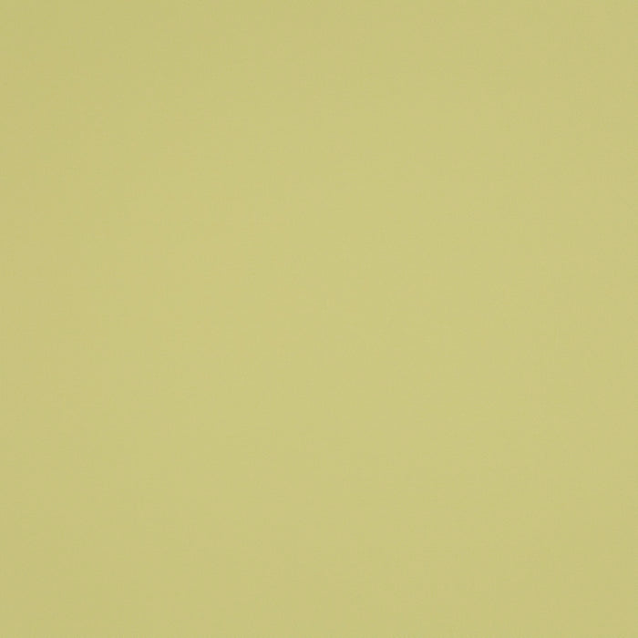Carlucci Mont Royal 030 Fabric Sample CR6028/030