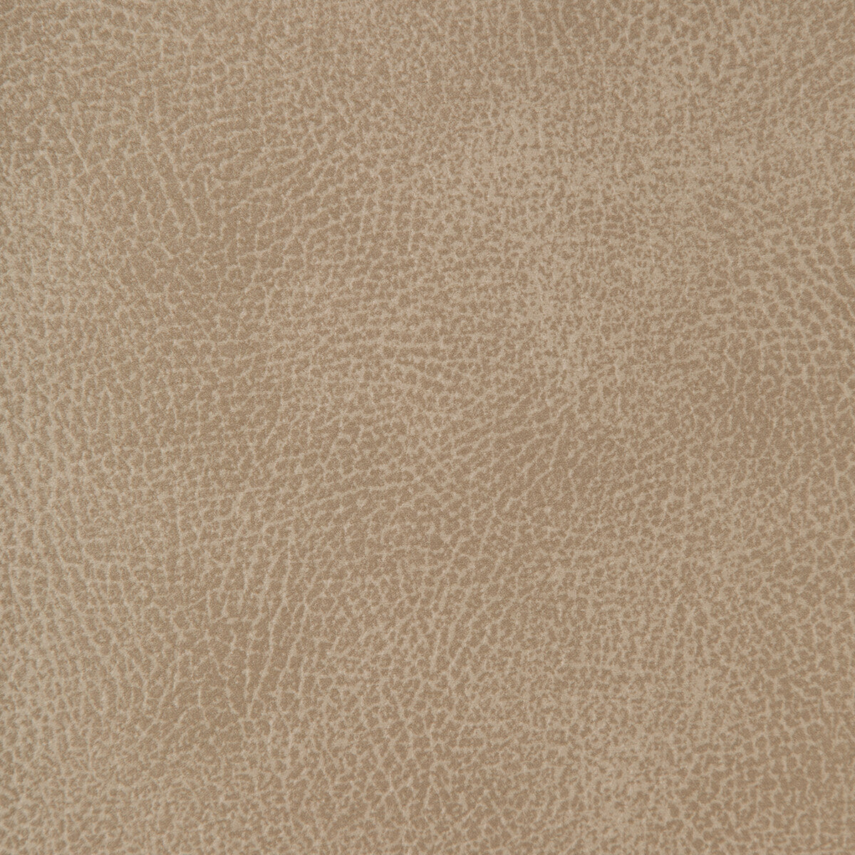 Kravet Design CRISP.1101.0 Fabric Sample