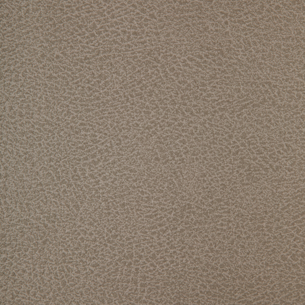 Kravet Design CRISP.11.0 Fabric Sample