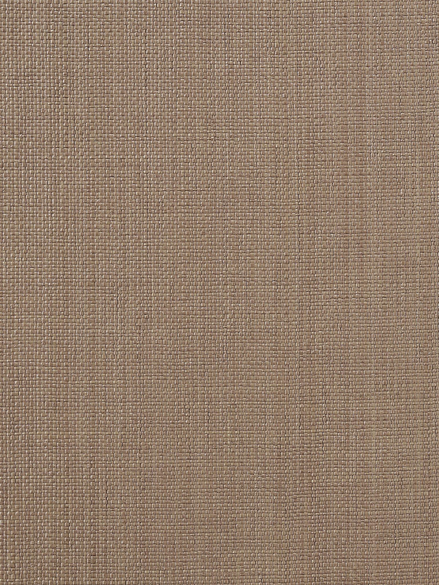 Pierre Frey Marius Wallpaper Sample FP865006