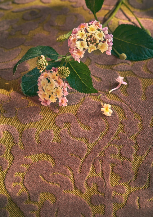 Fadini Borghi Campanie Rosa Fabric Sample I6656003