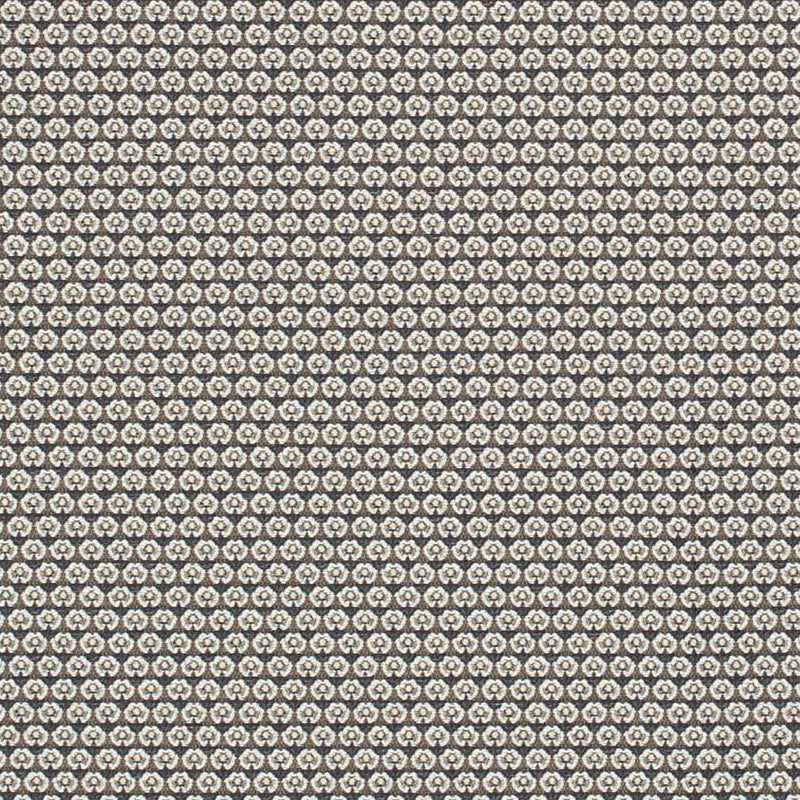 Charlotte Midnight Petite Fabric Sample D3294