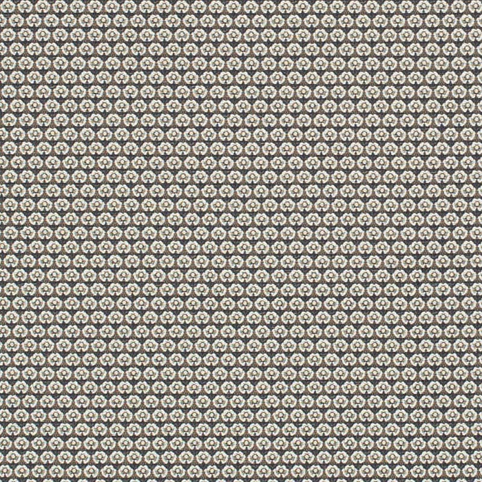 Charlotte Midnight Petite Fabric Sample D3294