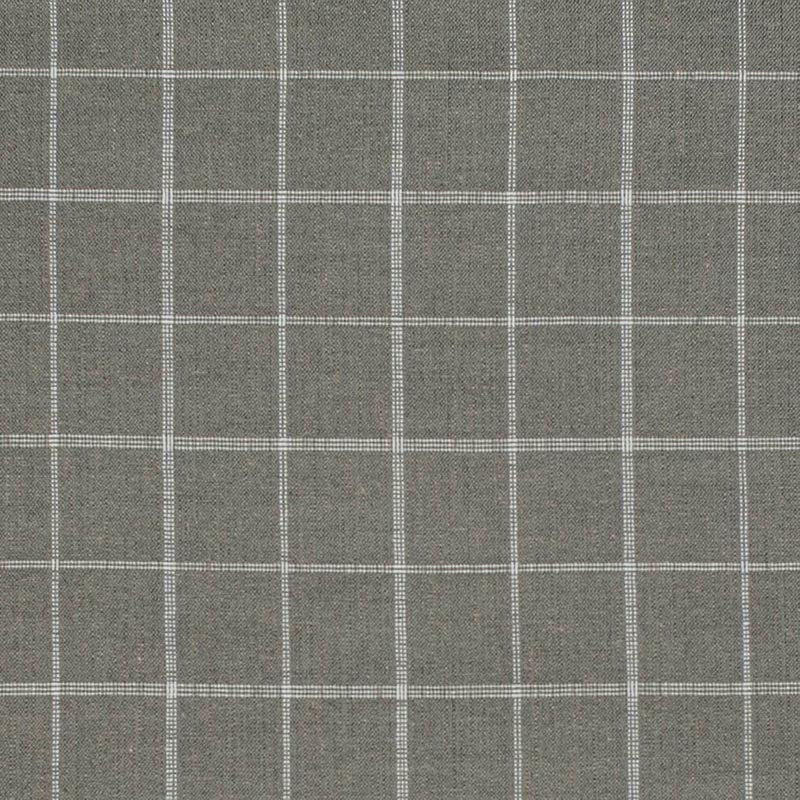 Charlotte Smoke Fabric D3502