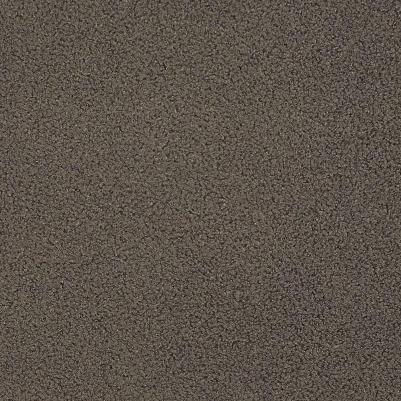 Charlotte Espresso Fabric Sample D3614