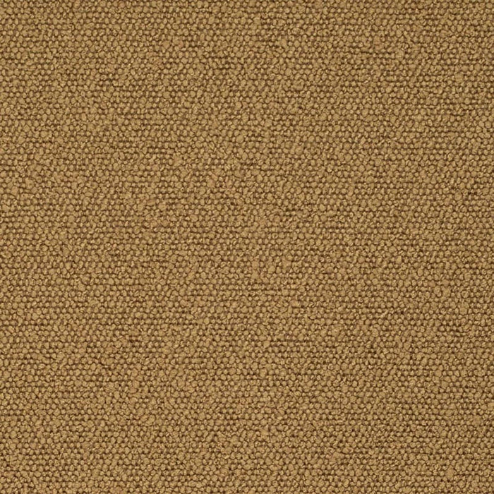 Charlotte Brass Fabric Sample D3627