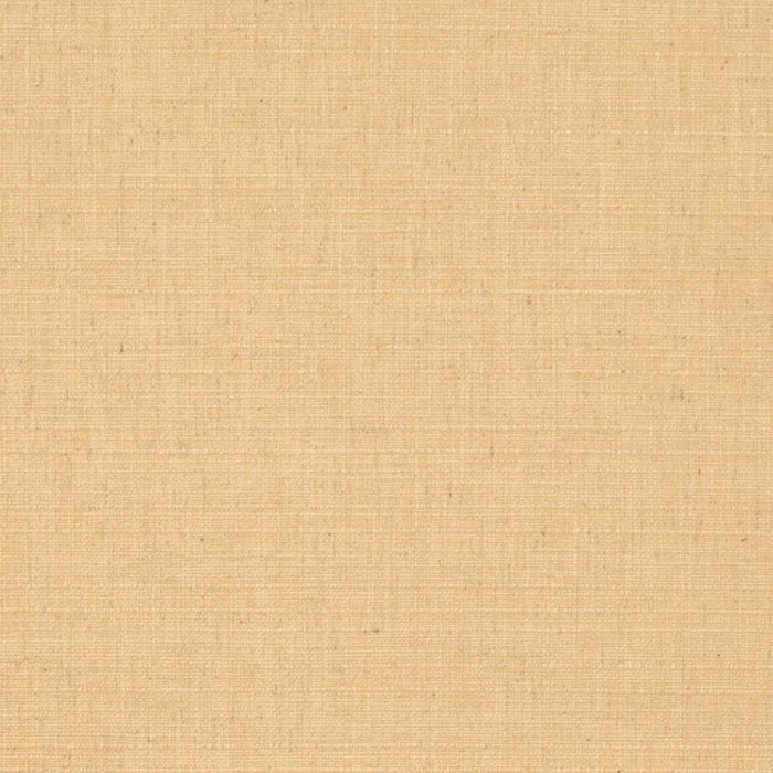Charlotte Maize Fabric Sample D3678