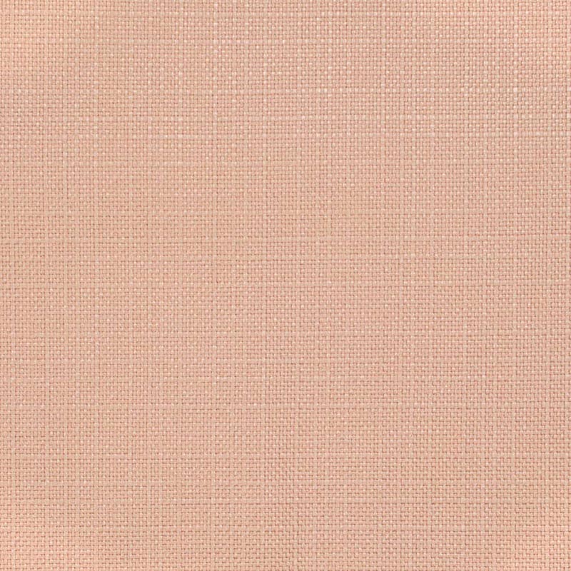 Charlotte Blush Fabric Sample D3714