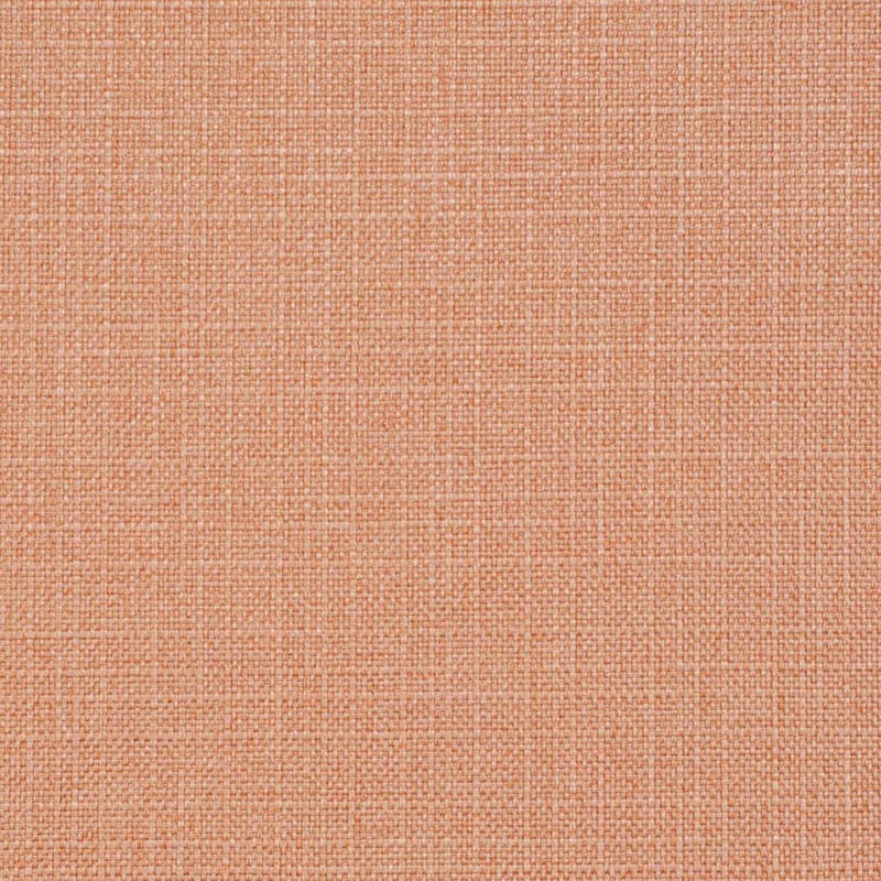 Charlotte Salmon Fabric Sample D3719