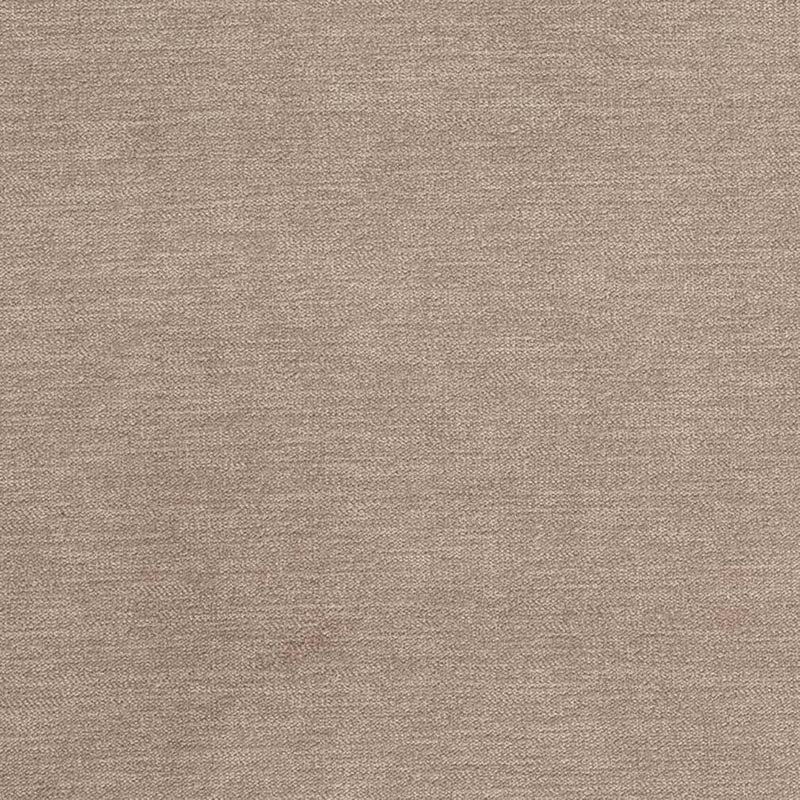 Charlotte Birch Fabric Sample D3829