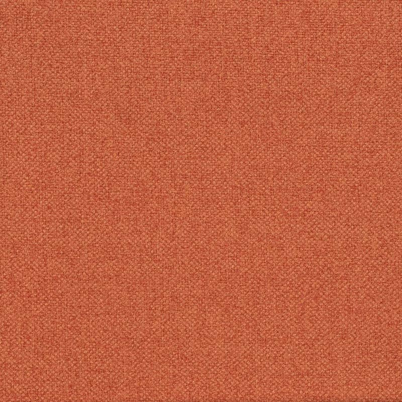 Charlotte Carrot Fabric D4016