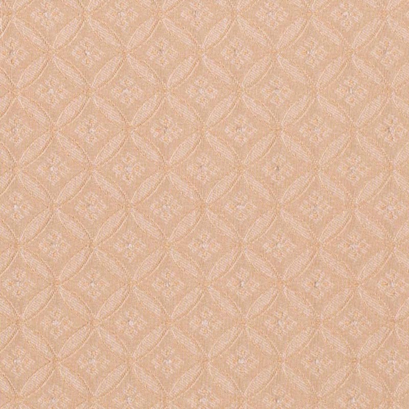 Charlotte Honey Bria Fabric D4081