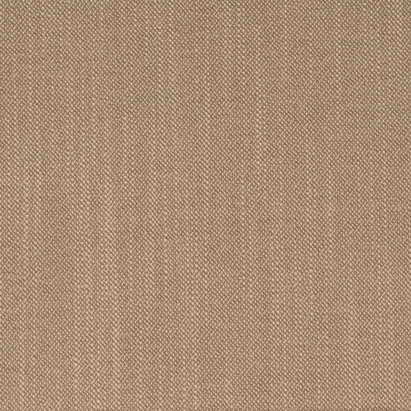 Charlotte Oatmeal Fabric Sample D4259