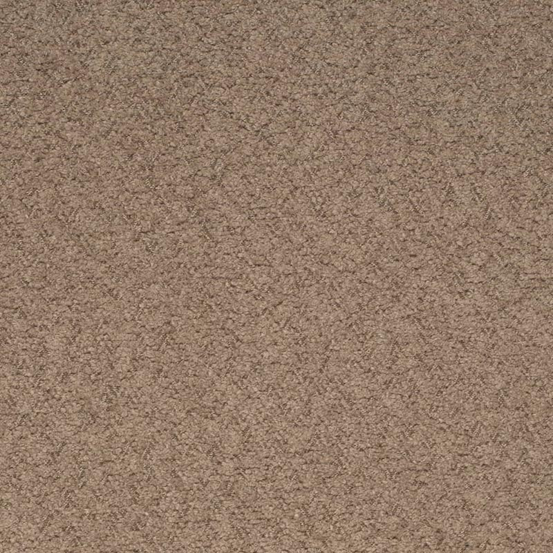 Charlotte Hazelnut Fabric D4280
