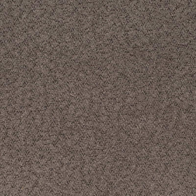 Charlotte Espresso Fabric Sample D4282