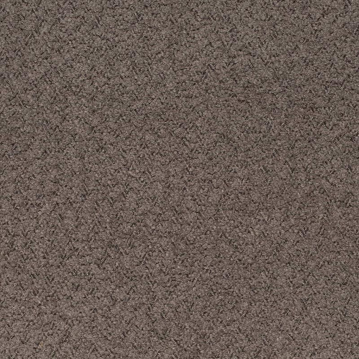 Charlotte Espresso Fabric Sample D4282
