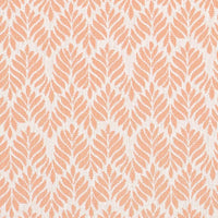Charlotte Shell Fabric D4311