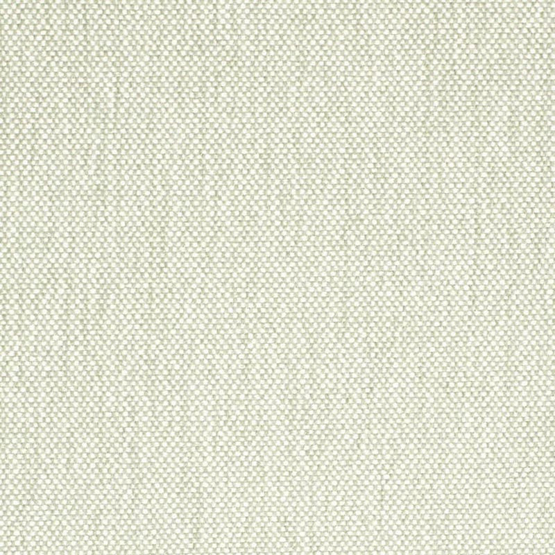 Charlotte Celadon Fabric Sample D4476