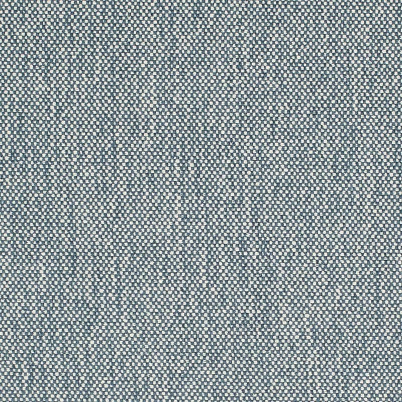 Charlotte Denim Fabric Sample D4483