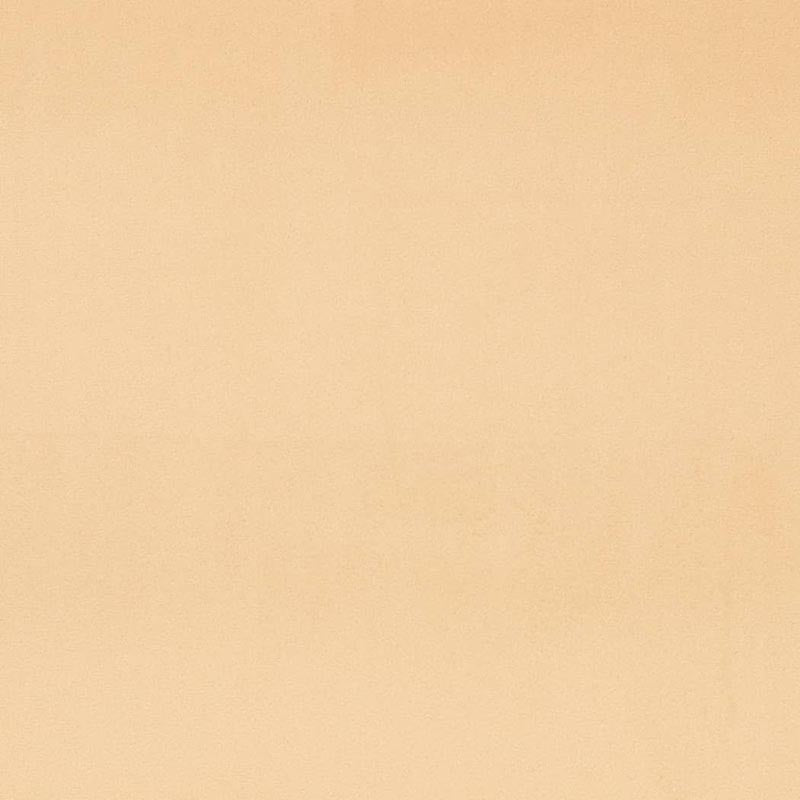 Charlotte Custard Fabric Sample D4496
