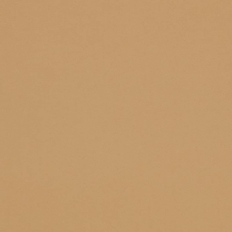 Charlotte Tan Fabric Sample D4497