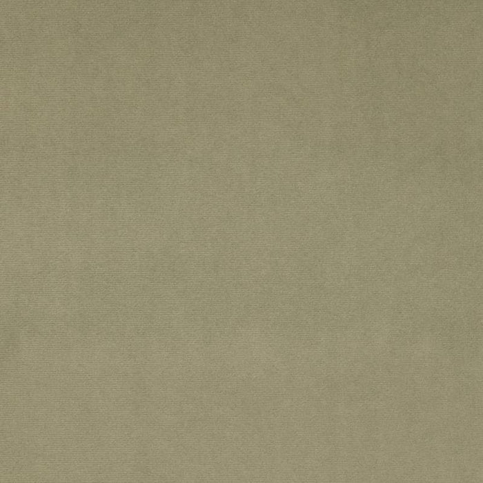Charlotte Sage Fabric Sample D4514