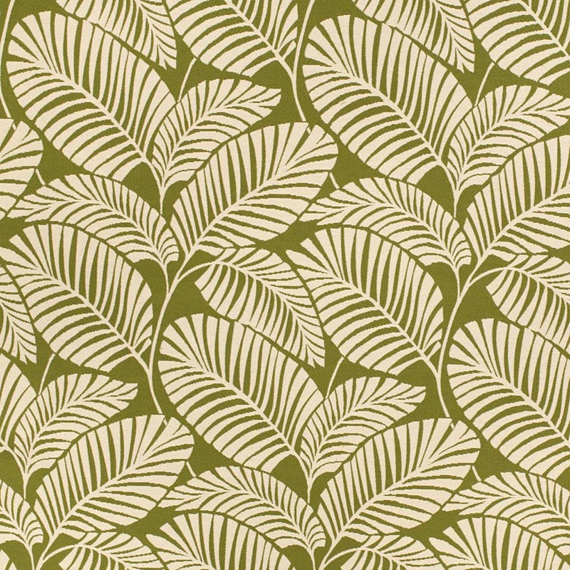 Charlotte Palm Grass Fabric Sample D4558