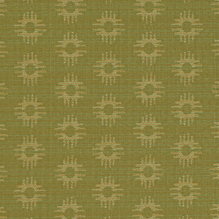 Charlotte D4614 Kiwi Fabric Sample