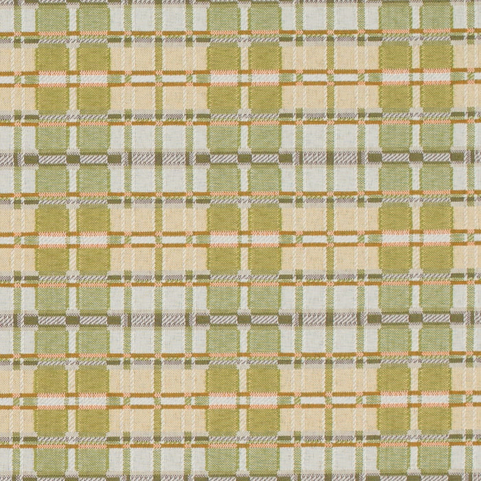 Charlotte D4616 Artichoke Fabric